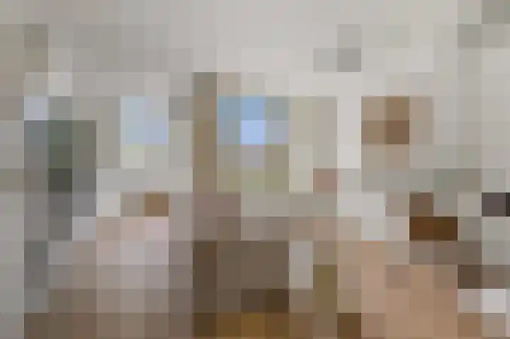 Van Boetzelaerstraat 70 3 Amsterdam thumbnail 4
