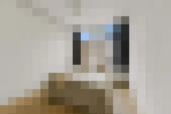 Van Boetzelaerstraat 70 3 Amsterdam thumbnail 5