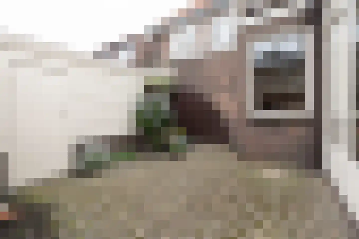 Van Boetzelaerstraat 85 Alphen aan den Rijn thumbnail 22