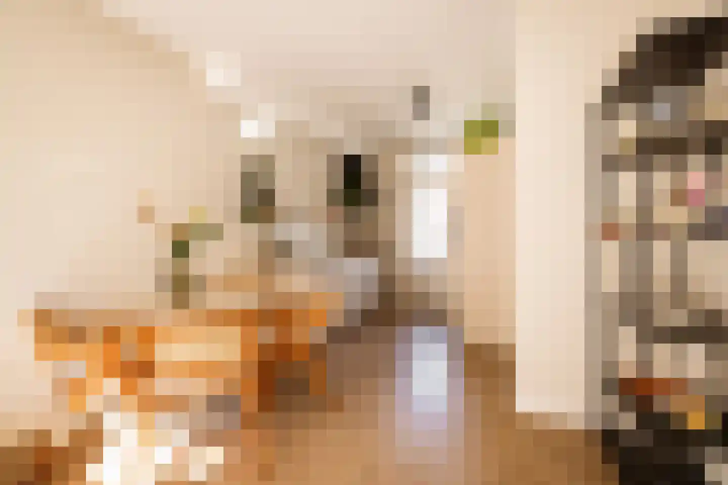 Van Boetzelaerstraat 94 4 Amsterdam thumbnail 17