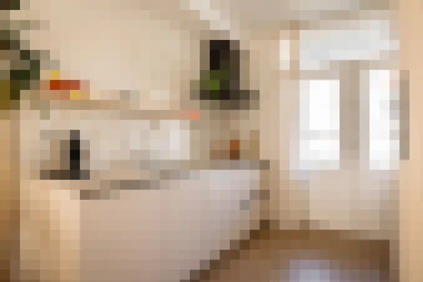 Van Boetzelaerstraat 94 4 Amsterdam thumbnail 19