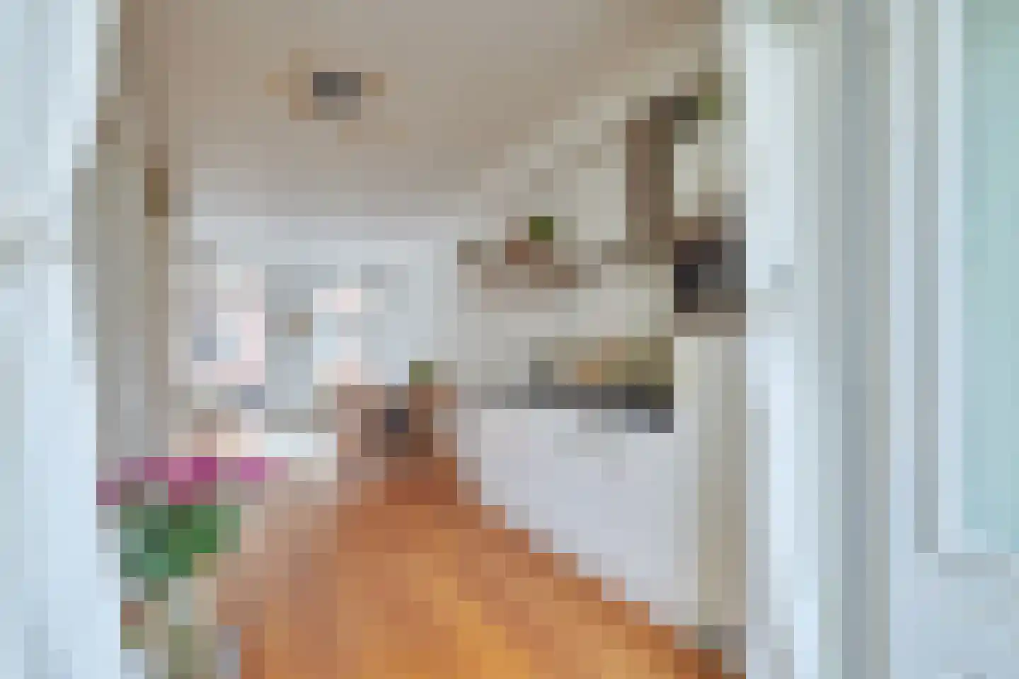 Van Boetzelaerstraat 94 H Amsterdam thumbnail 9