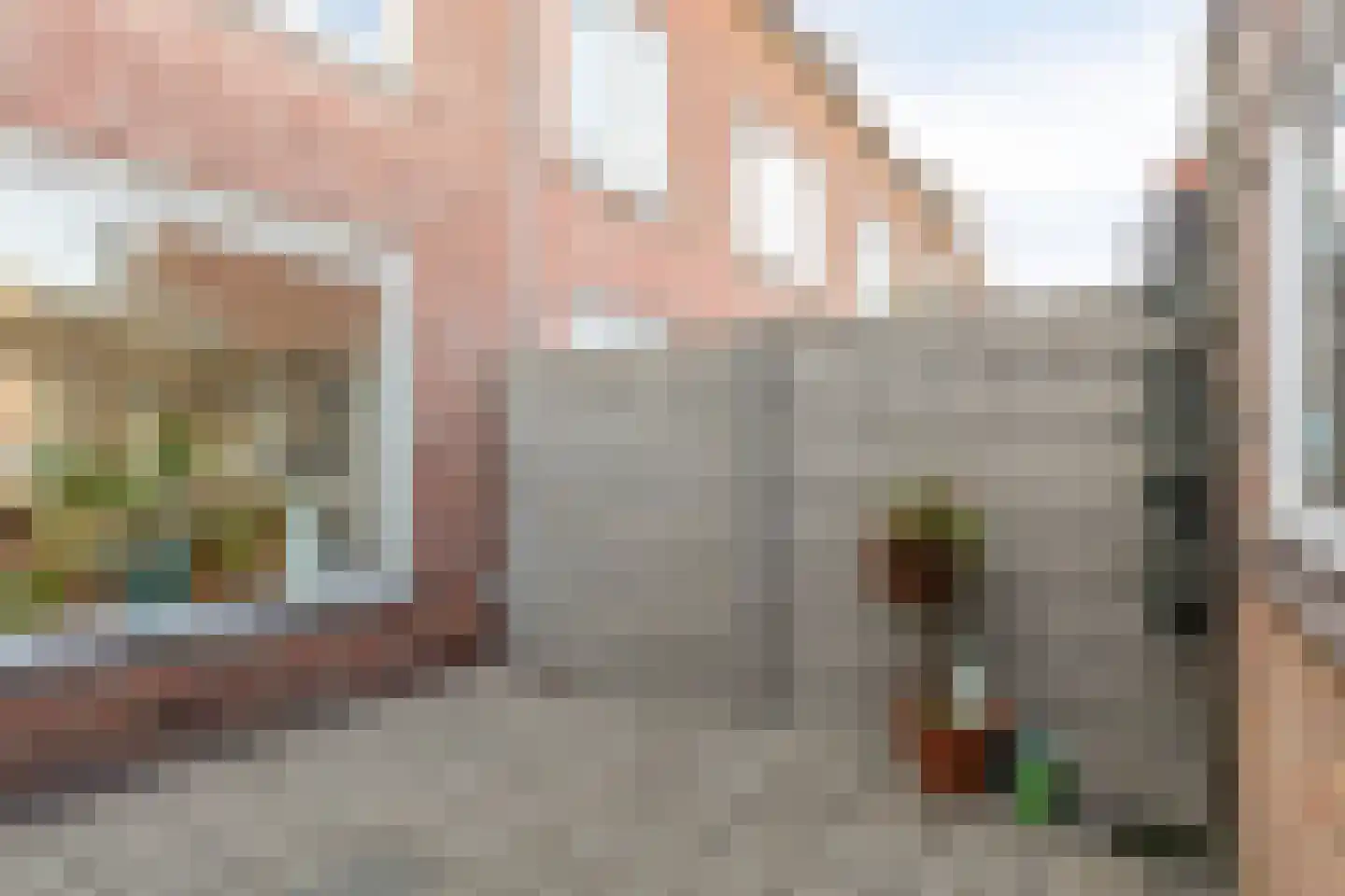 Van Boischotlaan 42 Oosterhout thumbnail 18