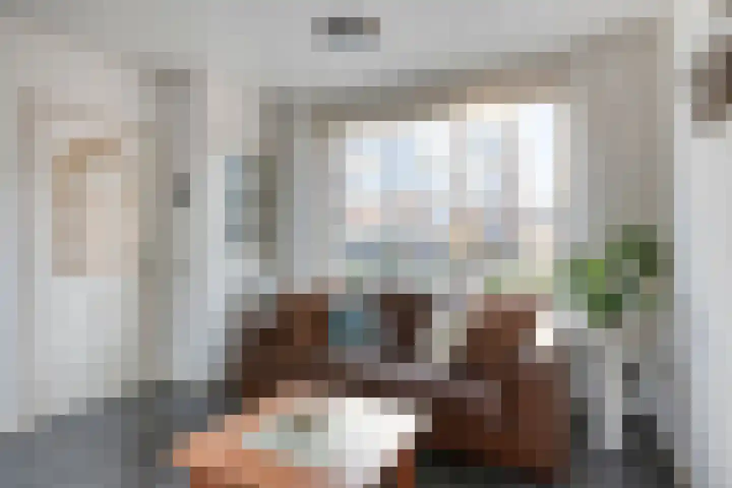Van Boischotlaan 42 Oosterhout thumbnail 4