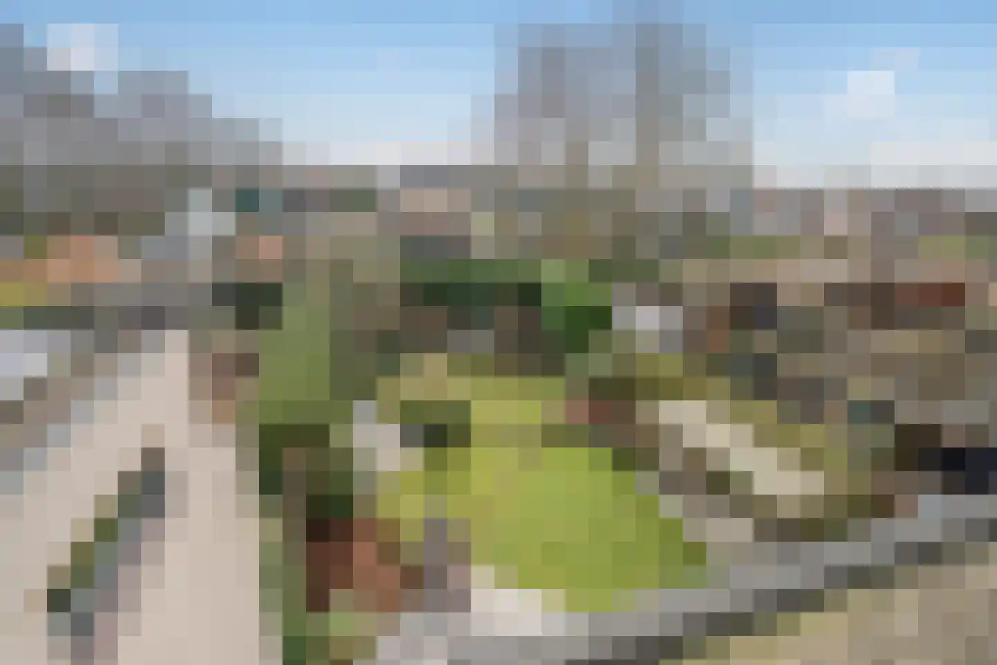 Van Boisotring 27 A Zoetermeer thumbnail 48