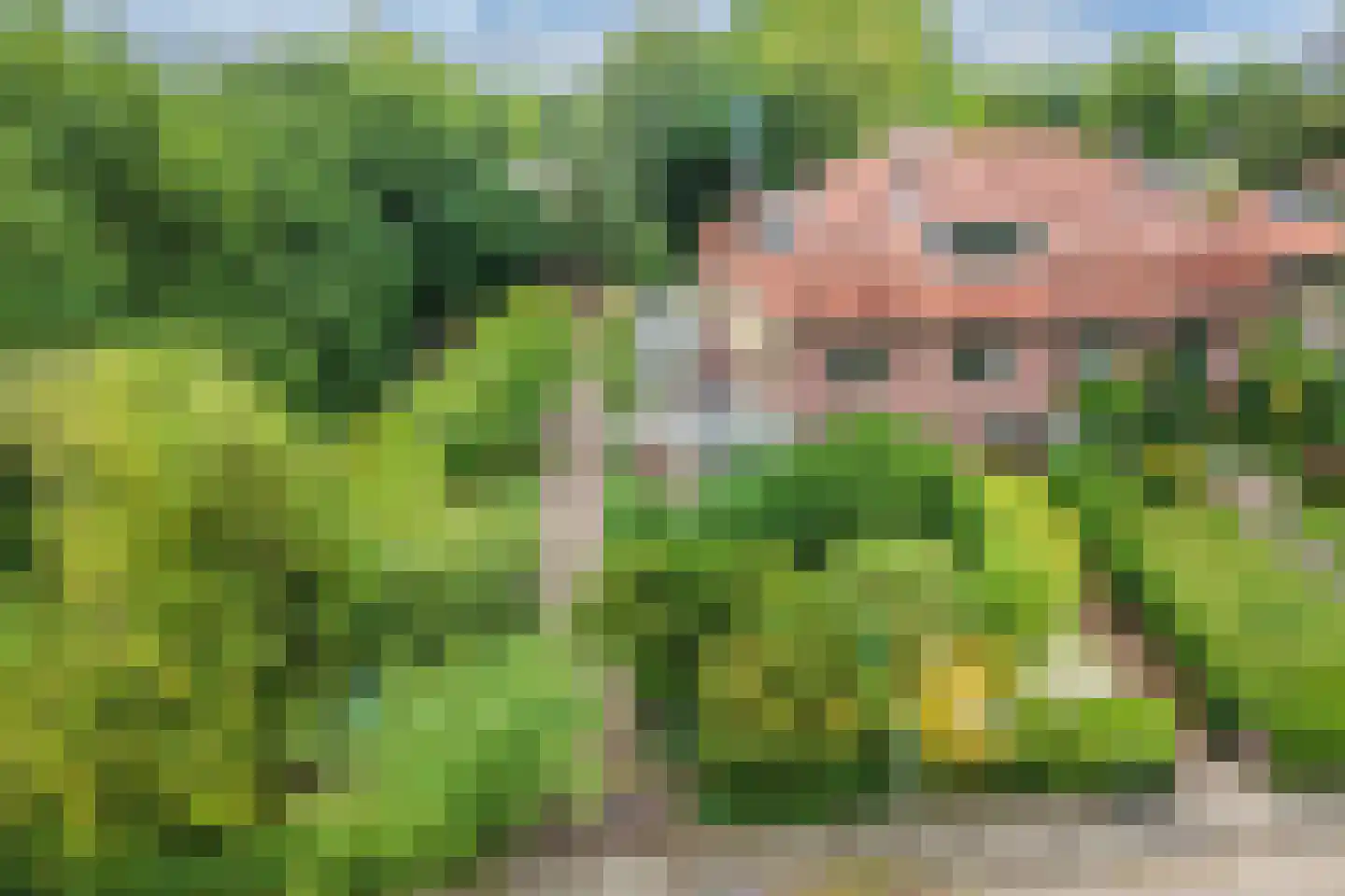 Van Bommellaan 16 Wassenaar thumbnail 11