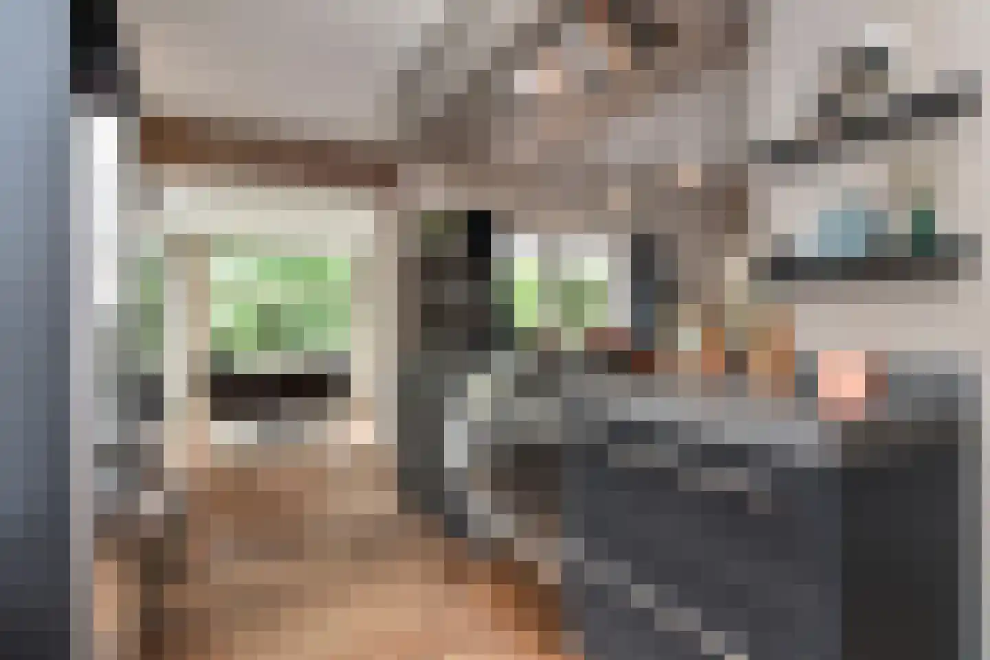 Van Bommellaan 16 Wassenaar thumbnail 21