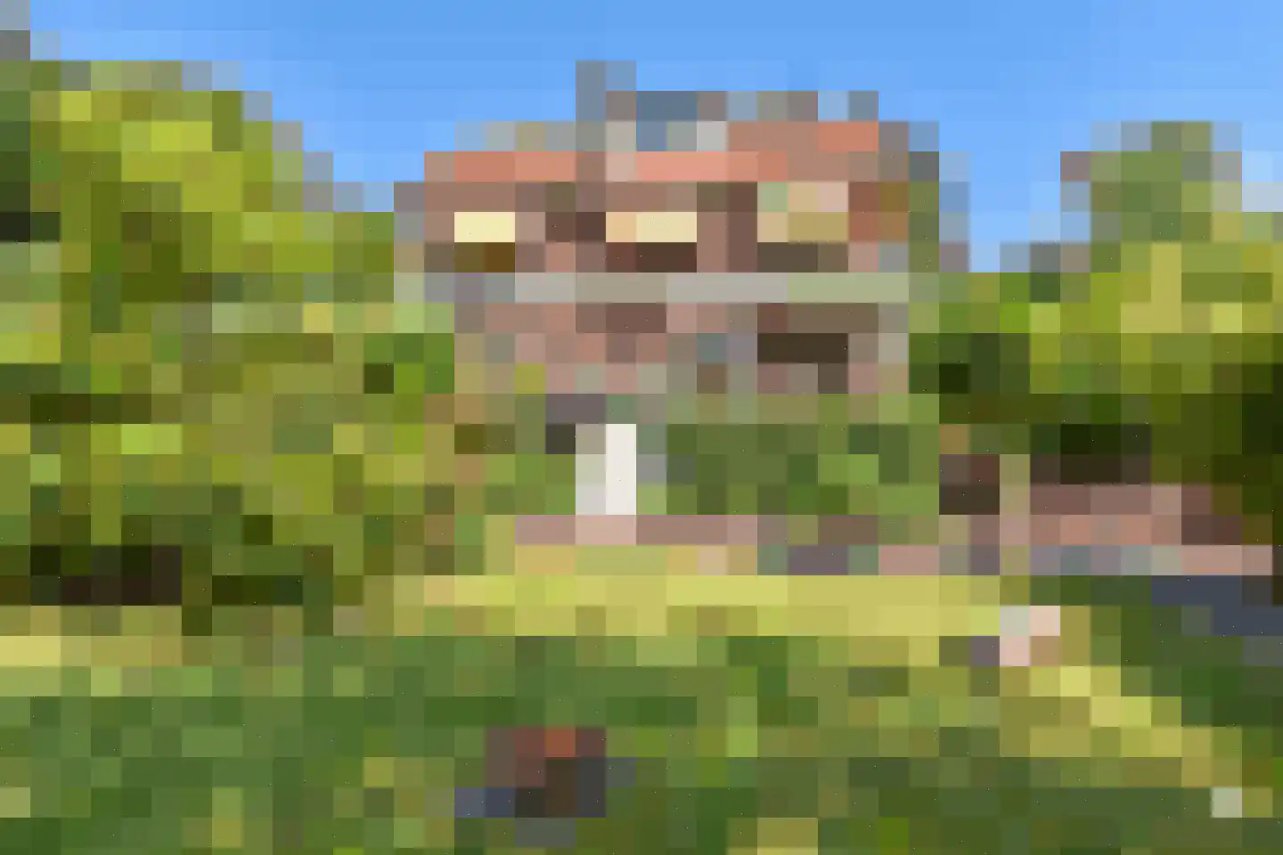 Van Bommellaan 16 Wassenaar thumbnail 4