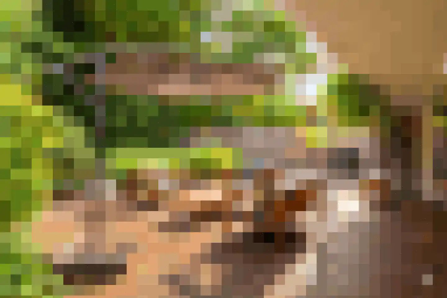 Van Bommellaan 16 Wassenaar thumbnail 42