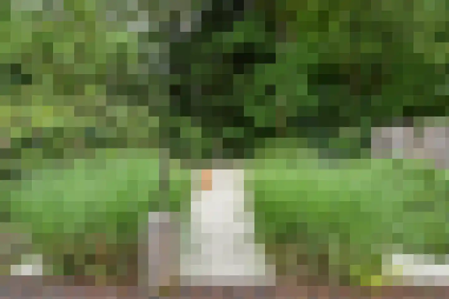 Van Bommellaan 16 Wassenaar thumbnail 44