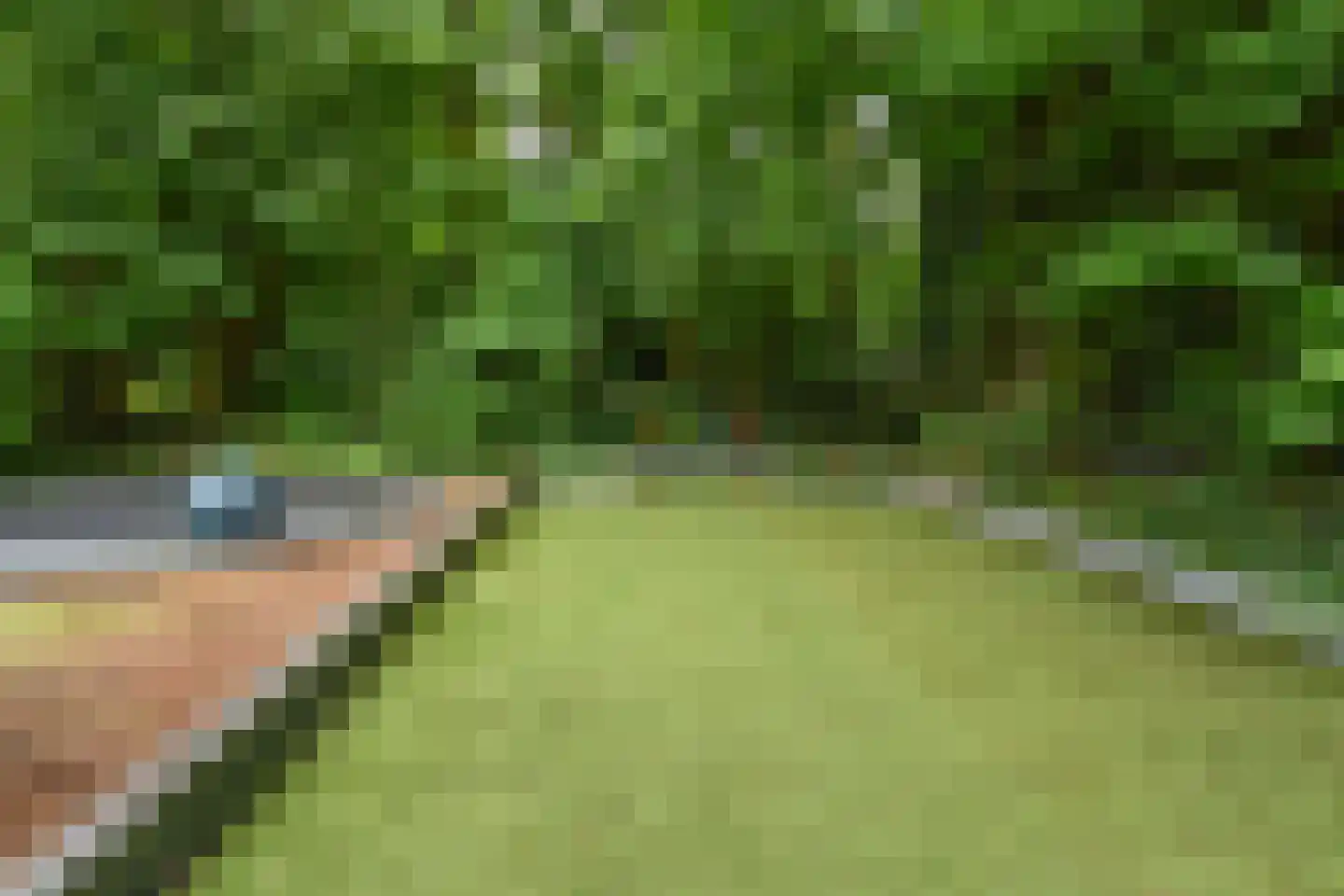 Van Bommellaan 16 Wassenaar thumbnail 45