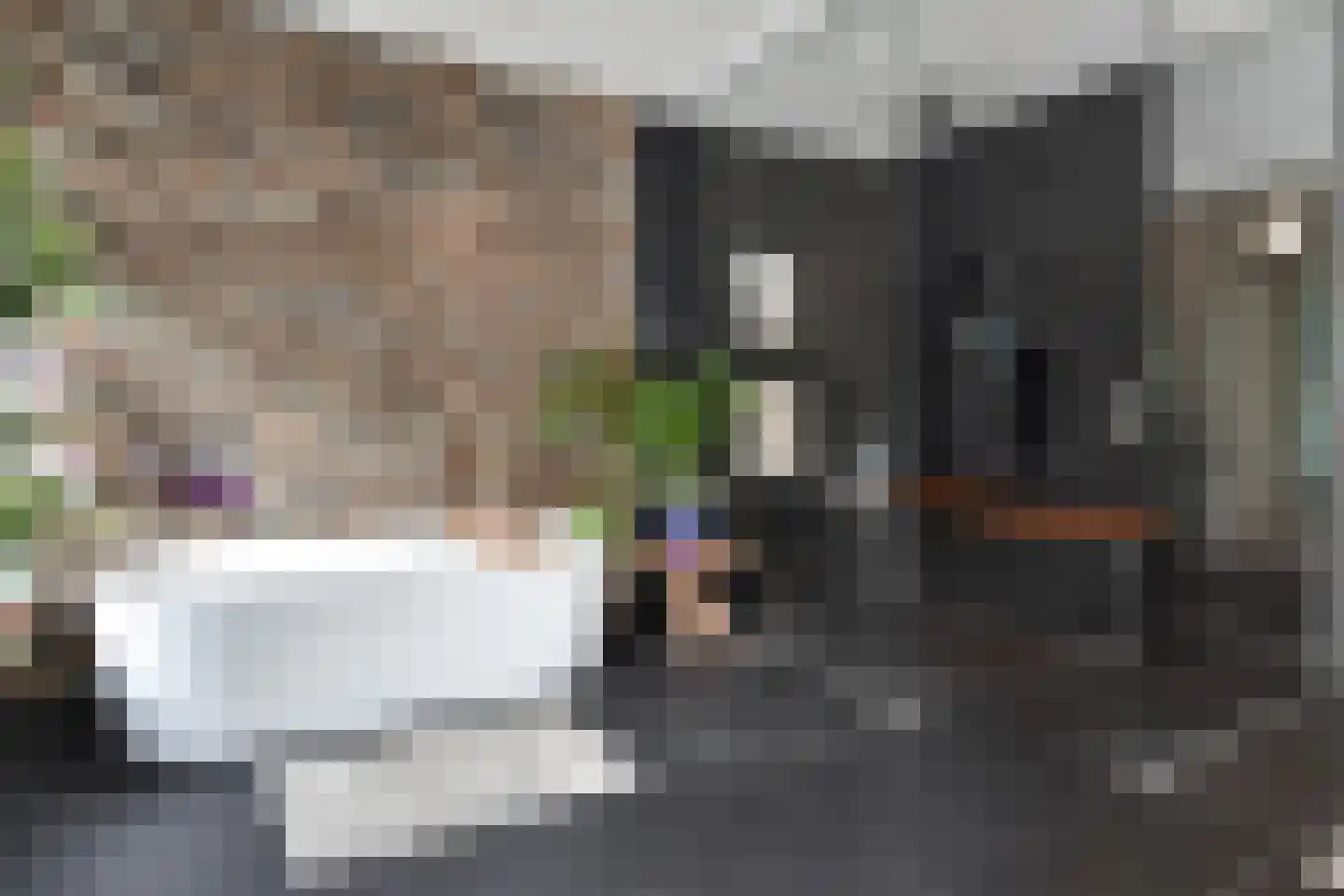 Van Bommellaan 16 Wassenaar thumbnail 6