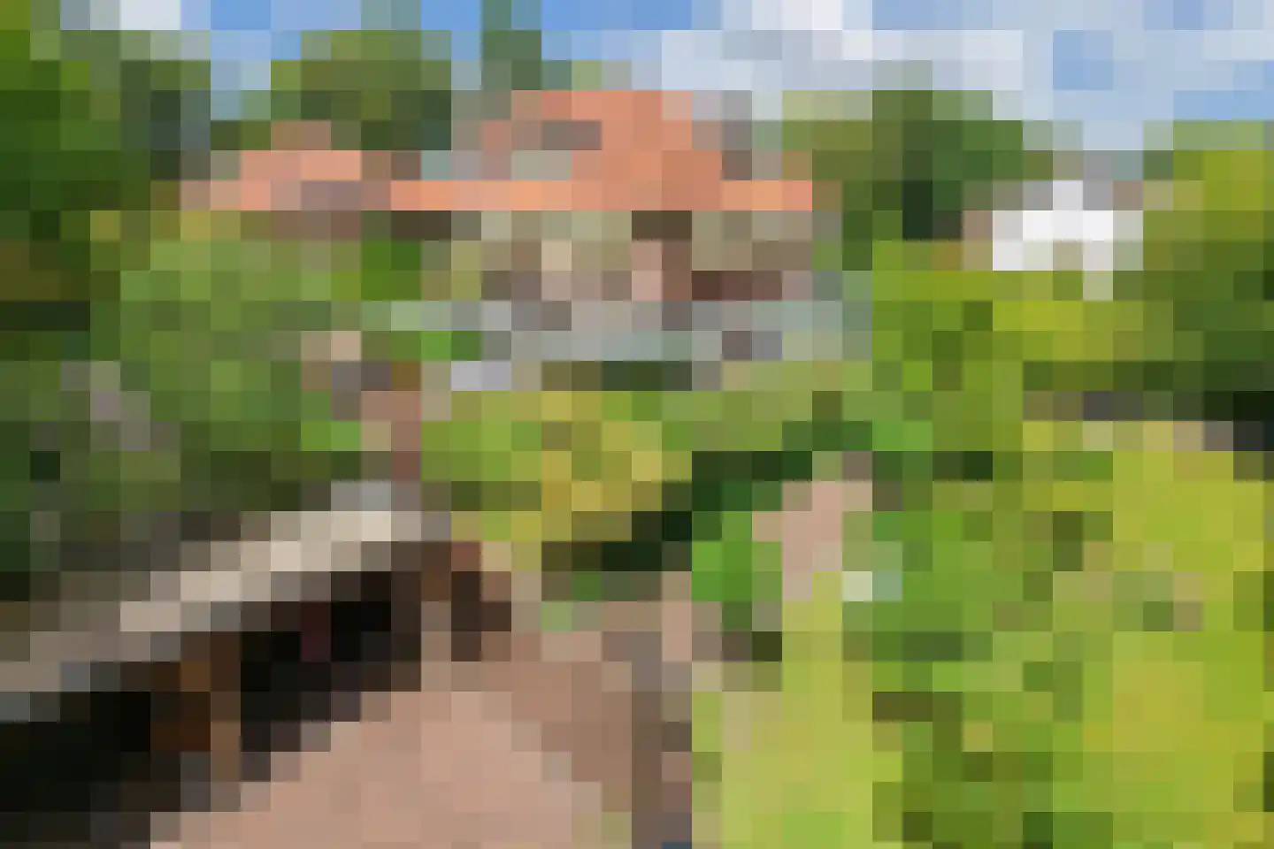 Van Bommellaan 16 Wassenaar thumbnail 8