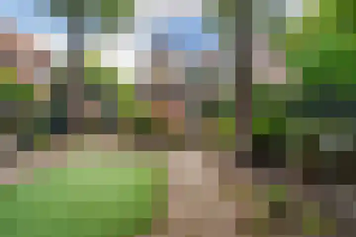 Van Bommellaan 3 Wassenaar thumbnail 23