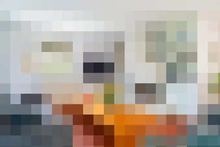 Van Bommellaan 3 Wassenaar thumbnail 26