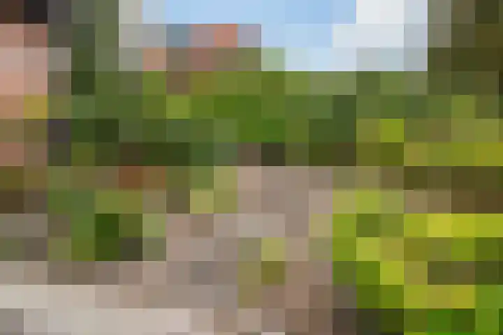 Van Bommellaan 3 Wassenaar thumbnail 5