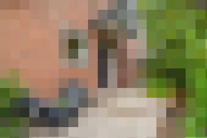 Van Bommellaan 3 Wassenaar thumbnail 7