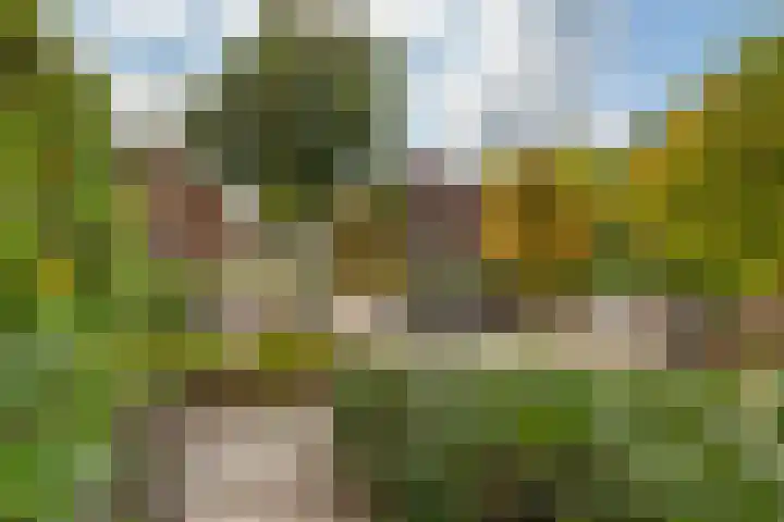 Van Bommellaan 3 Wassenaar thumbnail 73