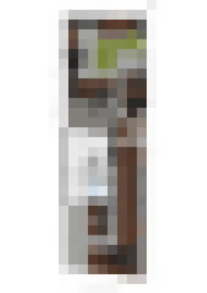 Van Bommellaan 3 Wassenaar thumbnail 79