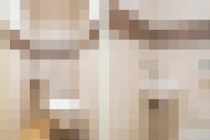 Van Bommellaan 3 Wassenaar thumbnail 9