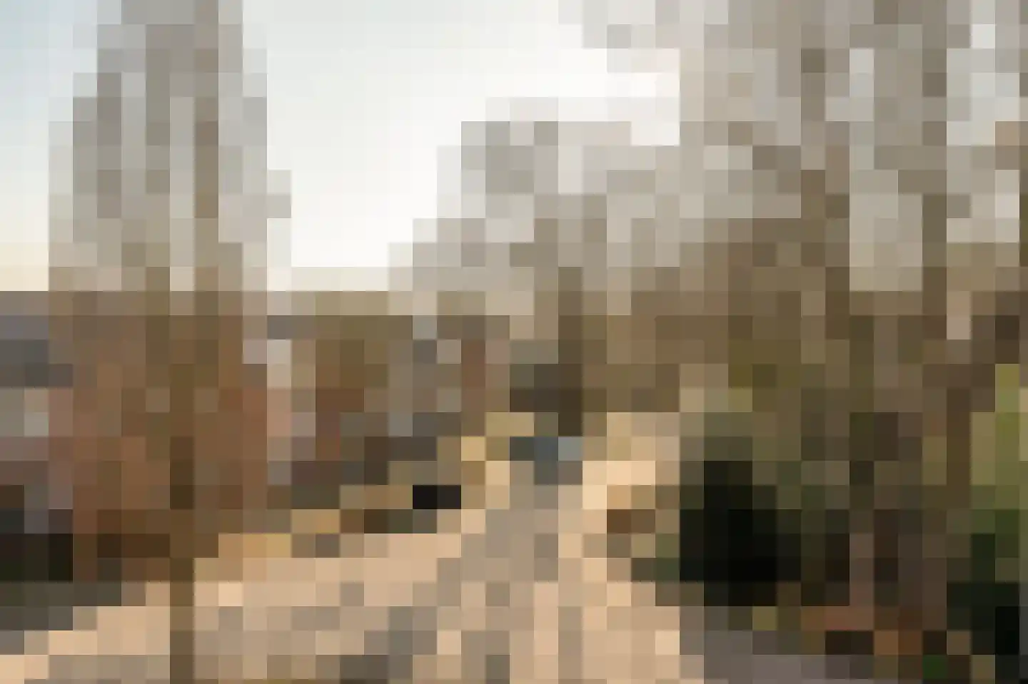 Van Bommellaan 43 Wassenaar thumbnail 18