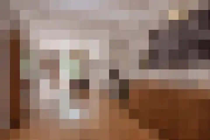 Van Bommellaan 8 Wassenaar thumbnail 14