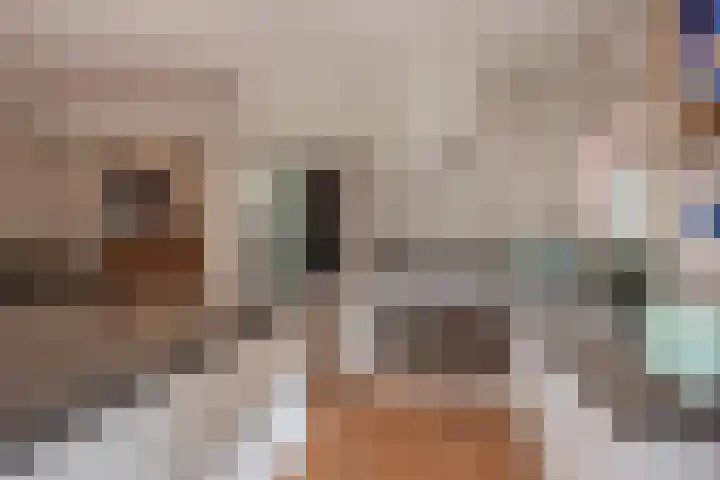 Van Bommellaan 8 Wassenaar thumbnail 16