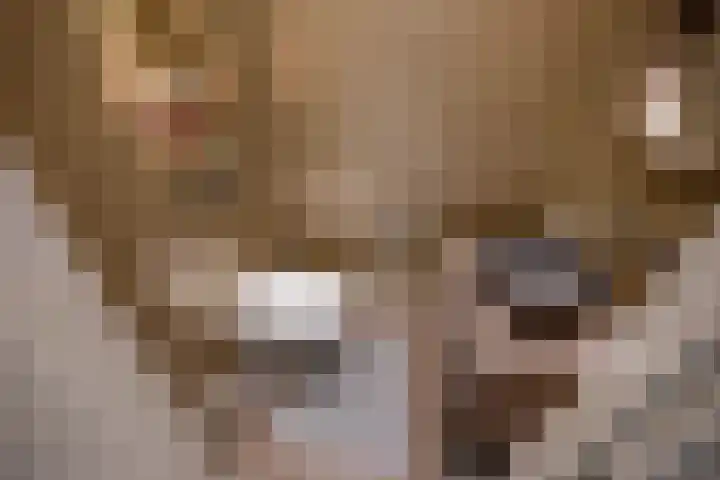 Van Bommellaan 8 Wassenaar thumbnail 23