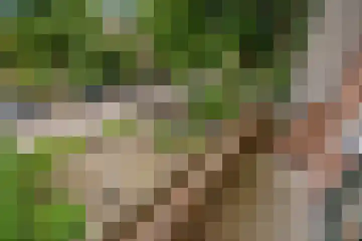 Van Bommellaan 8 Wassenaar thumbnail 36