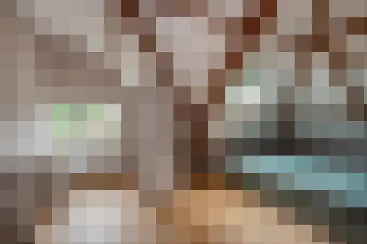 Van Bommellaan 8 Wassenaar thumbnail 43