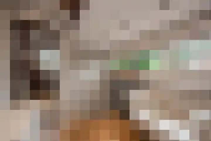 Van Bommellaan 8 Wassenaar thumbnail 44