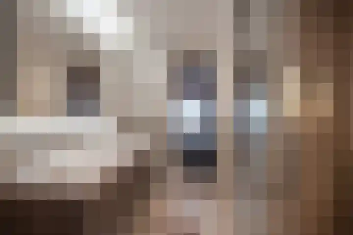 Van Bommellaan 8 Wassenaar thumbnail 50