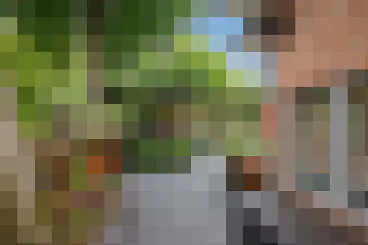 Van Bommellaan 8 Wassenaar thumbnail 53