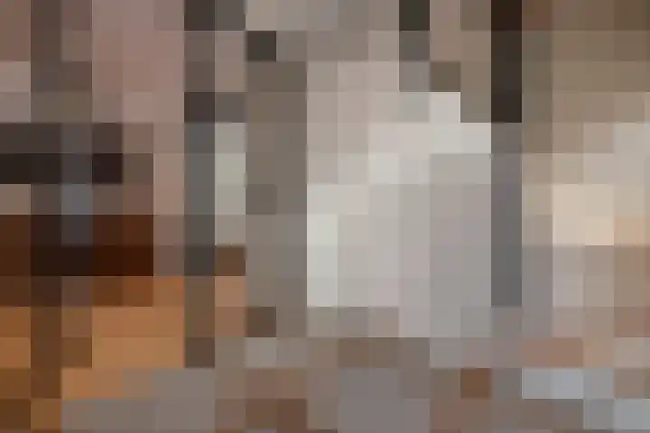 Van Bommellaan 8 Wassenaar thumbnail 6