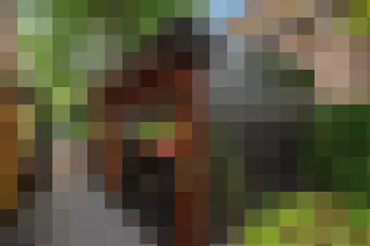 Van Bommellaan 8 Wassenaar thumbnail 61