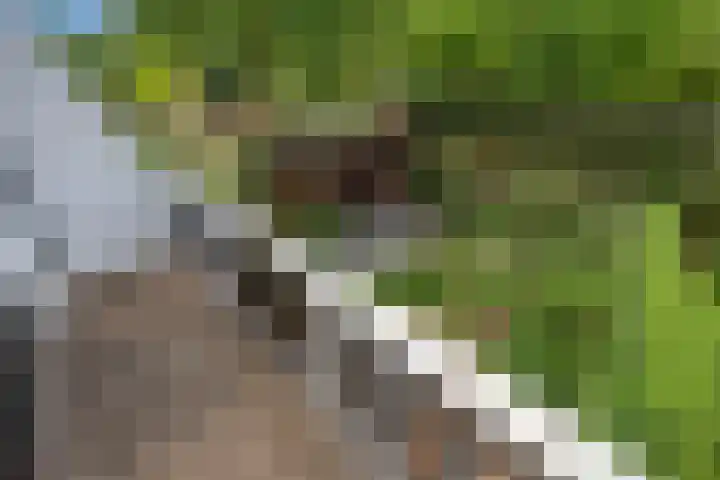 Van Bommellaan 8 Wassenaar thumbnail 65