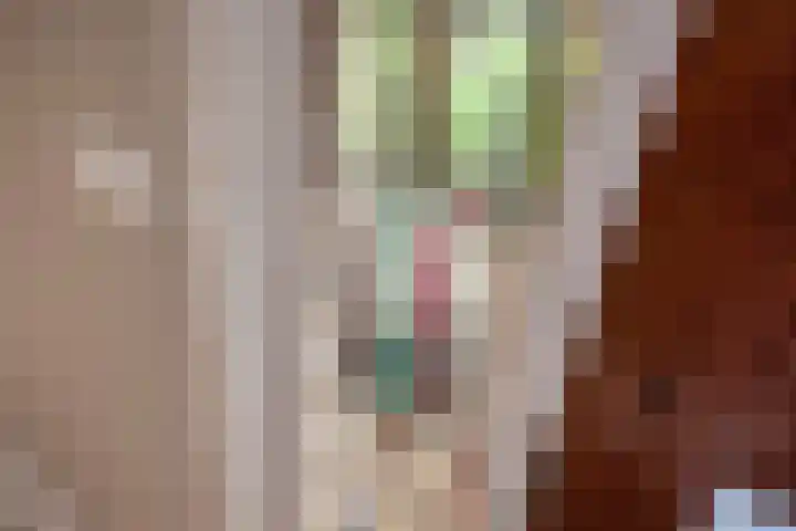 Van Bommellaan 8 Wassenaar thumbnail 8