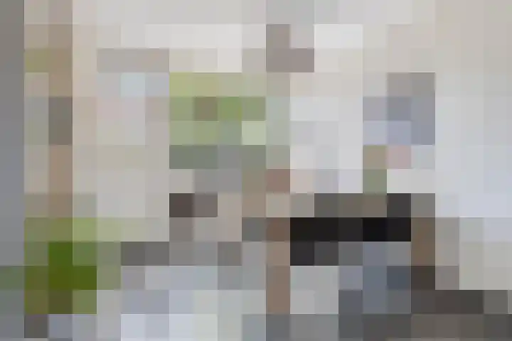 van Borselelaan 26 Veere thumbnail 17