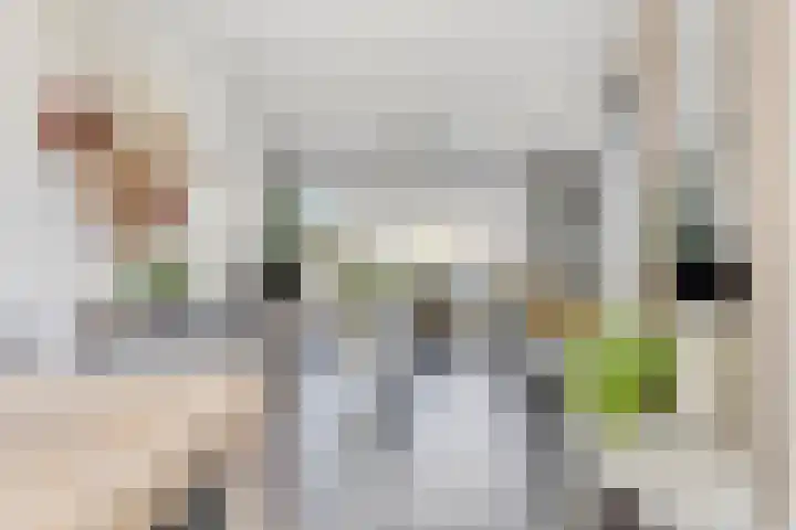 van Borselelaan 26 Veere thumbnail 18