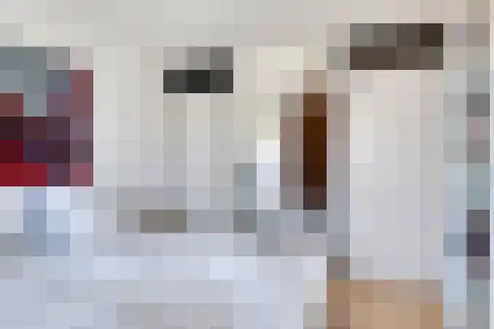 van Borselelaan 26 Veere thumbnail 22