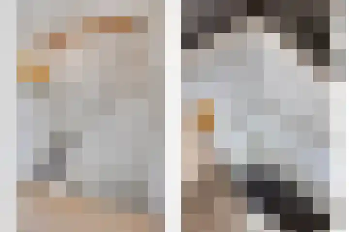 van Borselelaan 26 Veere thumbnail 29