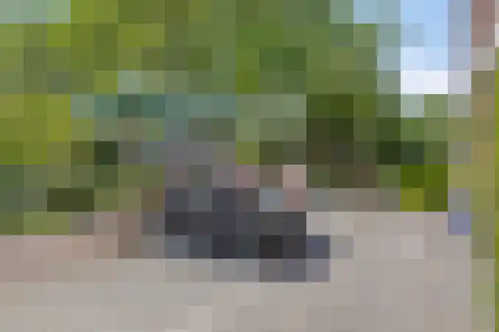 van Borselelaan 26 Veere foto 3