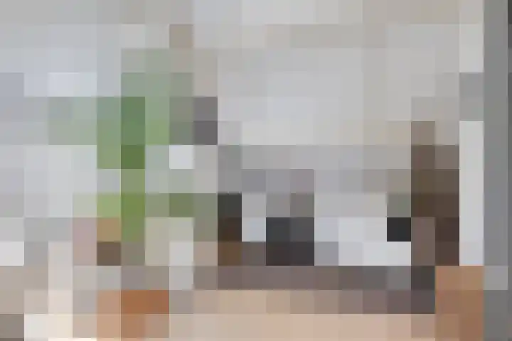 van Borselelaan 26 Veere thumbnail 33