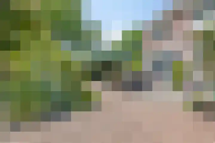 van Borselelaan 26 Veere thumbnail 36