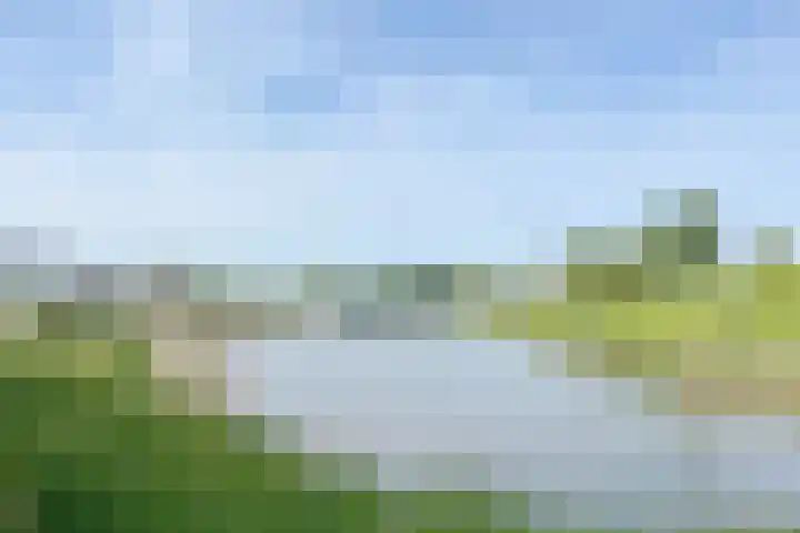 van Borselelaan 26 Veere thumbnail 41