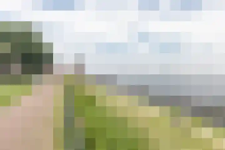van Borselelaan 26 Veere thumbnail 43
