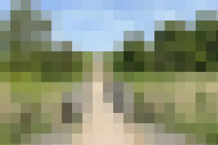 van Borselelaan 26 Veere thumbnail 6