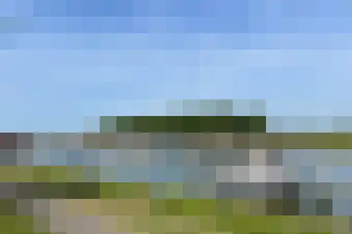 van Borselelaan 26 Veere thumbnail 7
