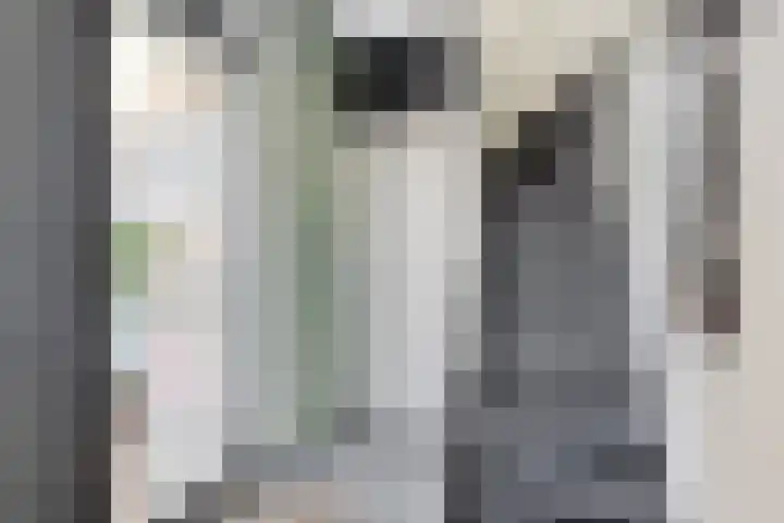 van Borselelaan 26 Veere thumbnail 9
