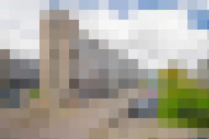 Van Borselenstraat 100 Arnhem thumbnail 5